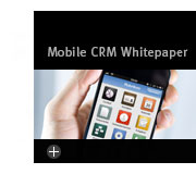 Mobile CRM Whitepaper