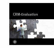 CRM Evaluation